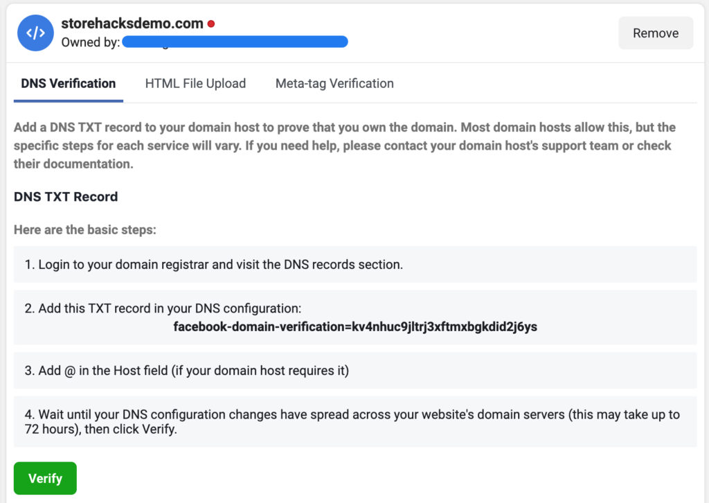 2. Verify Domain DNS